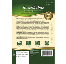 Samenpackung Buschbohne Borlotto rosso