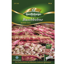 Samenpackung Buschbohne Borlotto rosso der Marke Quedlinburger