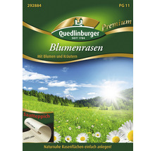 Quedlinburger Blumenrasenpackung mit dem Bild einer Blumenwiese und einem Saatteppich