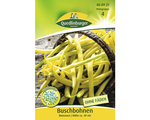 Buschbohnen Berggold Quedlinburger Samenfestes Saatgut Gemüsesamen