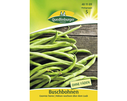 Buschbohnen Cropper Teepee Quedlinburger Samenfestes Saatgut Gemüsesamen