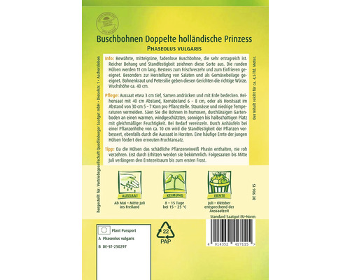 Buschbohnen Doppelte holländische Prinzess Saatgutpackung