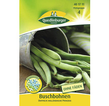 Buschbohnen Samenpackung, Sorte Doppelte Holländische Prinzess
