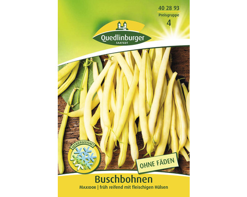 Buschbohnen ' Bohne ' Quedlinburger Gemüsesamen