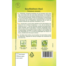 Buschbohnen Maxi Quedlinburger Samenfestes Saatgut Gemüsesamen