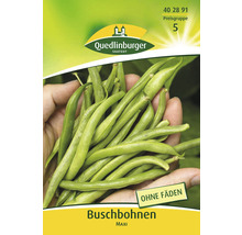Buschbohnen Maxi Quedlinburger Samenfestes Saatgut Gemüsesamen
