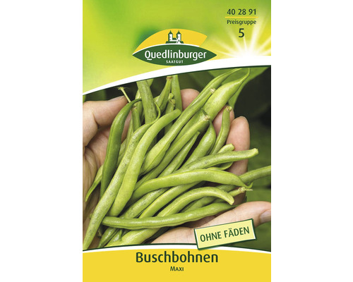 Buschbohnen Maxi Quedlinburger Samenfestes Saatgut Gemüsesamen