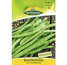 Buschbohnen Samenpackung