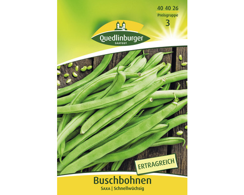 Buschbohnen Saxa Quedlinburger Samenfestes Saatgut Gemüsesamen