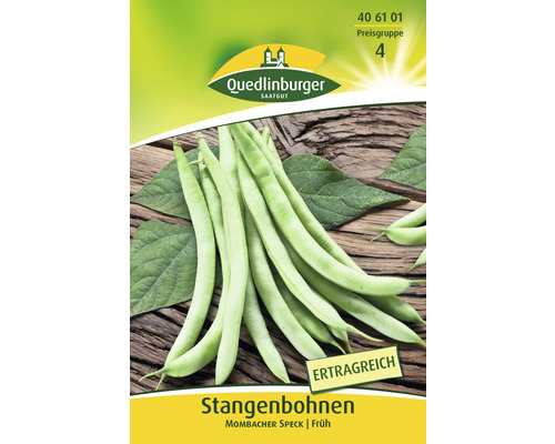 Stangenbohnen Mombacher Speck Quedlinburger Samenfestes Saatgut Gemüsesamen