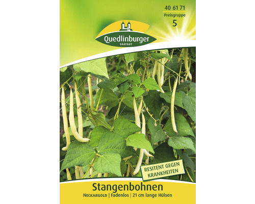 Stangenbohnen ' Bohne ' Quedlinburger Gemüsesamen