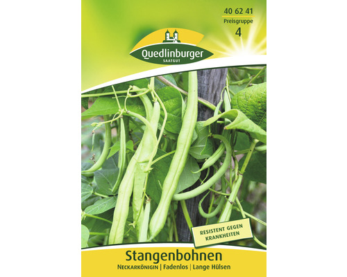 Stangenbohnen ' Bohne ' Quedlinburger Gemüsesamen