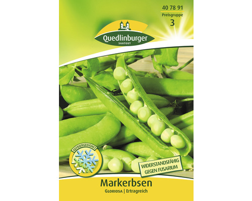 Erbsen ' Erbse ' Quedlinburger Gemüsesamen