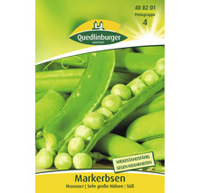 Markerbsen Saatgutpackung der Marke Quedlinburger
