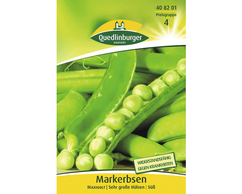 Erbsen ' Erbse ' Quedlinburger Gemüsesamen