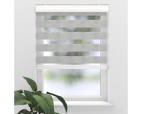 SOLUNA Doppelrollo D-R7 mit weißer Kassette Struktur transparent grau 40x175 cm
