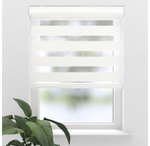 Fenster mit modernem, weißen Doppelrollo für Sicht- und Sonnenschutz