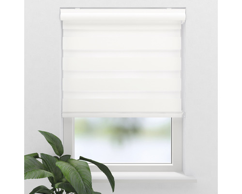 Fenster mit weißem Duo-Rollo zur Lichtregulierung