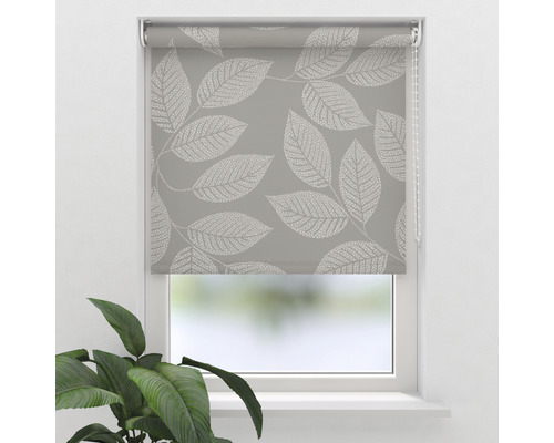 SOLUNA Tageslichtrollo D10 Blatt beige 180x190 cm