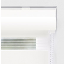 Doppelrollo mit Kettenzug zur Fensterdekoration