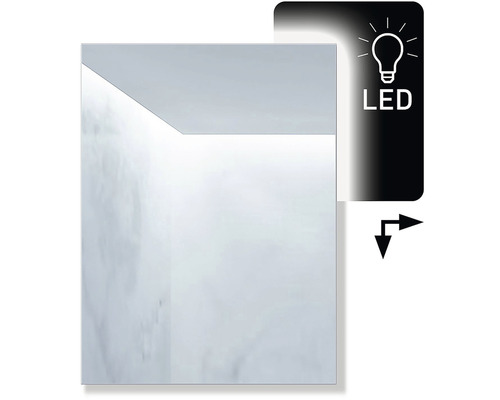 LED Badspiegel Ambiente 60 x 80 cm IP 44