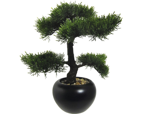 Kunstpflanze Bonsai Zeder Höhe 37 cm grün HORNBACH