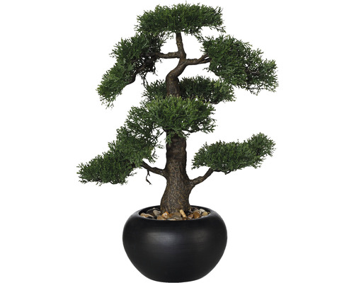 Kunstpflanze Bonsai Zeder Höhe: 48 cm grün