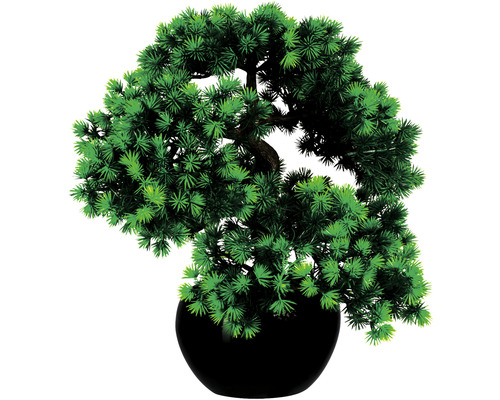 Kunstpflanze Bonsai Lärche Höhe: 37 cm grün