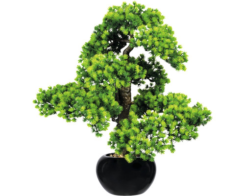 Kunstpflanze Bonsai Lärche Höhe: 60 cm grün