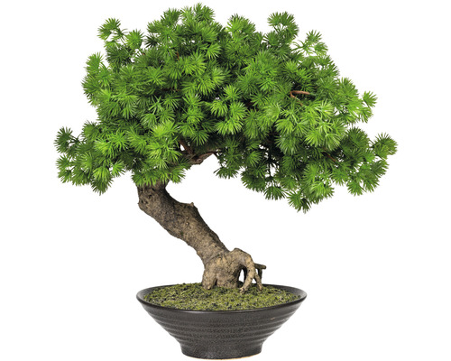 Kunstpflanze Bonsai Lärche Hankengai Höhe: 37 cm grün