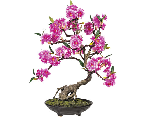 Kunstpflanze Bonsai Cerasum Pink Höhe: 50 cm grün