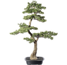 Kunstpflanze Bonsai Zeder Höhe 100 cm grün HORNBACH