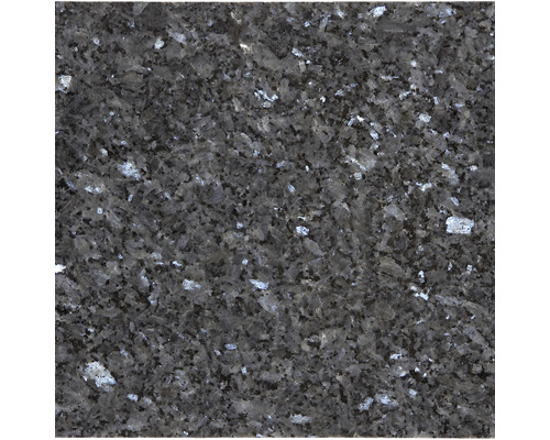 Naturstein Wand- und Bodenfliese Blue Pearl 30,5 x 30,5 cm Naturstein Wand- und Bodenfliese Blue Pearl 30,5 x 30,5 cm