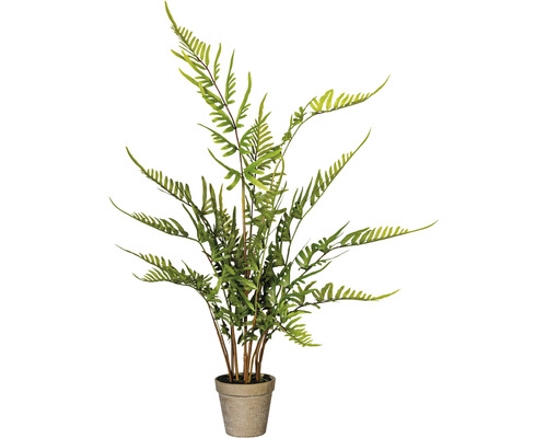 Kunstpflanze Rippenfarn Höhe: 80 cm grün