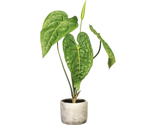 Kunstpflanze Anthurie Höhe: 60 cm grün