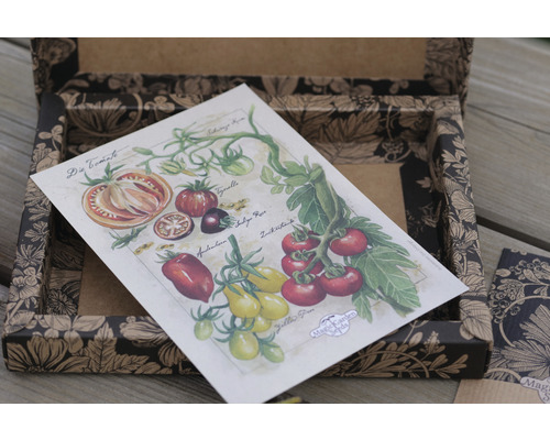 Illustration verschiedener Tomatensorten in einer Saatgutbox