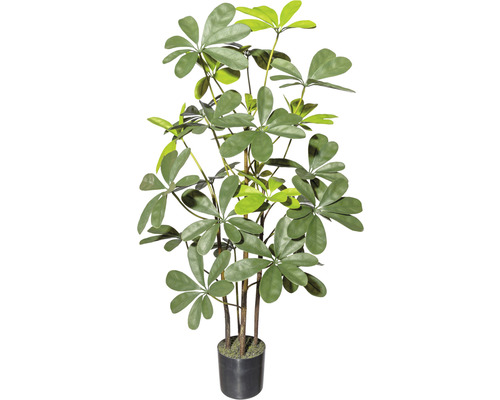 Kunstpflanze Strahlenaralie Höhe: 90 cm grün