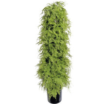 Kunstpflanze Asparagus Höhe: 120 cm grün