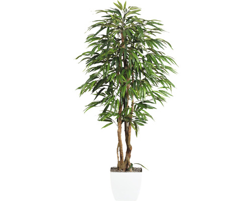 Kunstpflanze Weeping Ficus Höhe: 150 cm grün