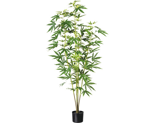 Kunstpflanze Zierhanfpflanze Höhe: 150 cm grün