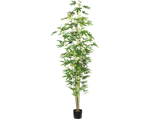 Kunstpflanze Zierhanfpflanze Höhe: 210 cm grün