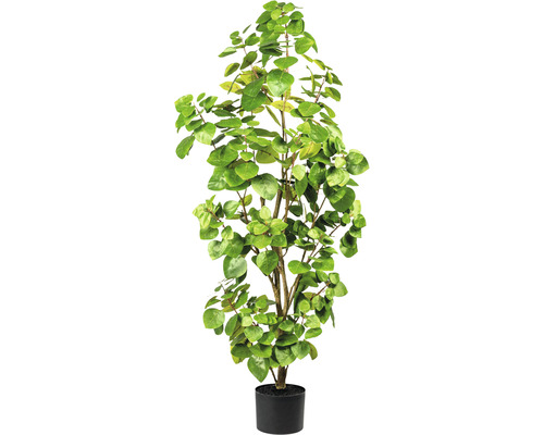 Kunstpflanze Eucalyptus Höhe: 105 cm grün