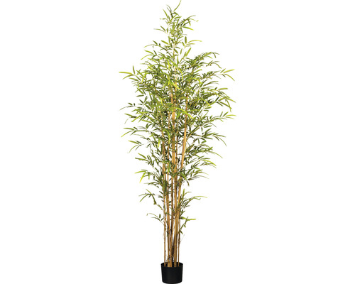 Kunstpflanze Bambus Höhe: 180 cm grün buschig