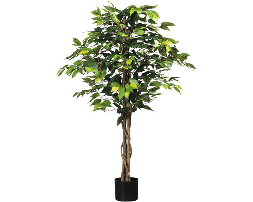 Kunstpflanze Ficus Benjamin Höhe: 120 cm grün