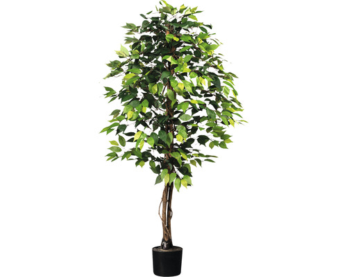 Kunstpflanze Ficus Benjamin Höhe: 150 cm grün