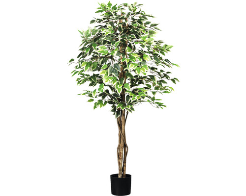 Kunstpflanze Ficus Benjamin Höhe: 150 cm grün-weiß