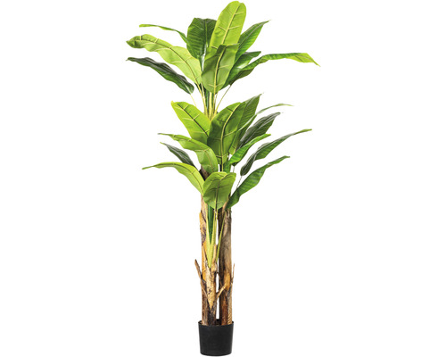 Kunstpflanze Bananenpflanze Höhe: 180 cm grün