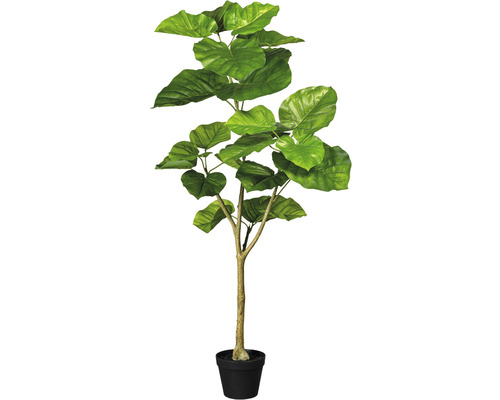 Kunstpflanze Ficus Umbellata Höhe: 125 cm grün