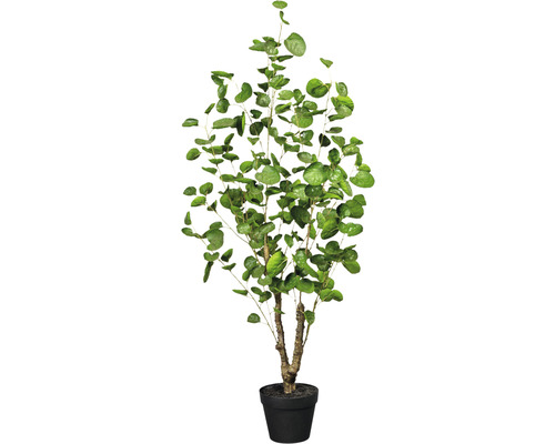 Kunstpflanze Fliederaralie Höhe: 110 cm grün