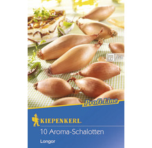 Packung Aroma Schalotten der Sorte Longor von Kiepenkerl mit Pflanzhinweis